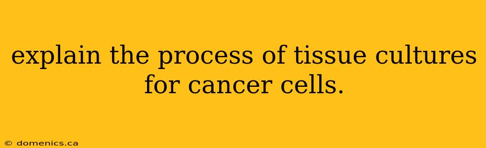 explain the process of tissue cultures for cancer cells.