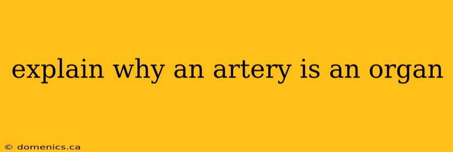 explain why an artery is an organ