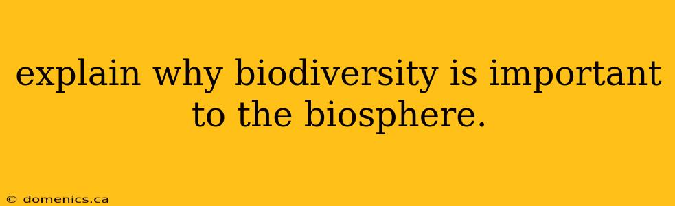 explain why biodiversity is important to the biosphere.