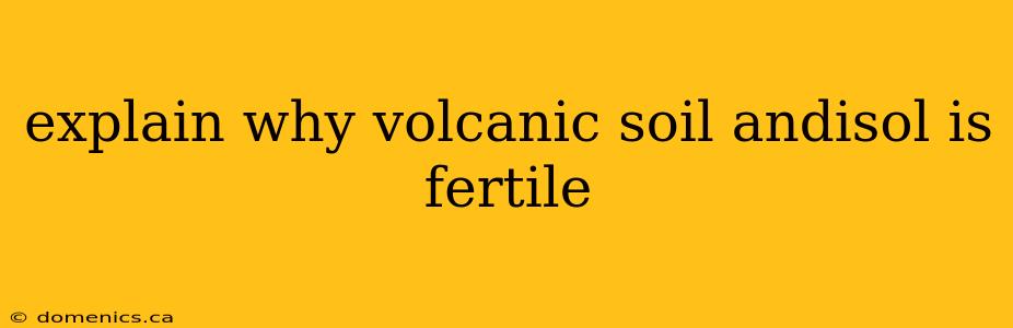 explain why volcanic soil andisol is fertile