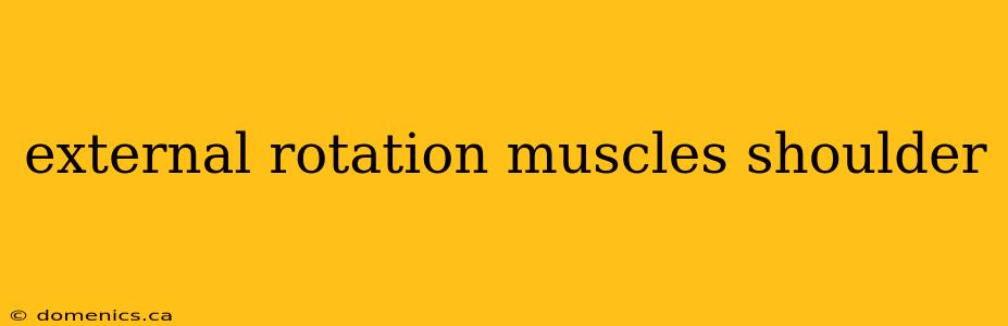 external rotation muscles shoulder