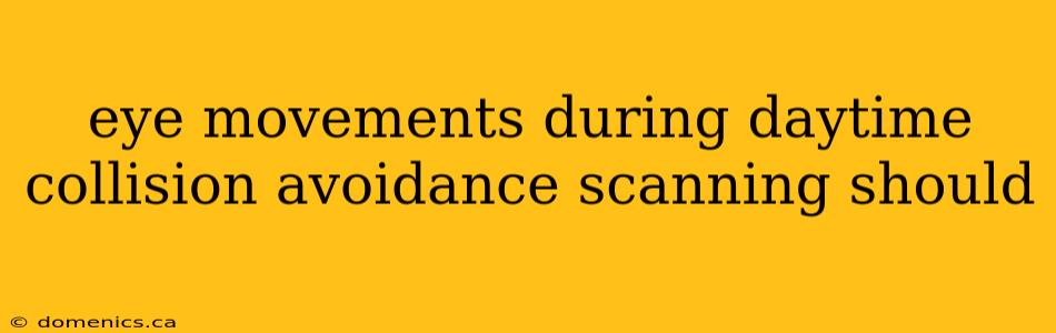 eye movements during daytime collision avoidance scanning should