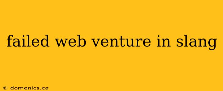 failed web venture in slang