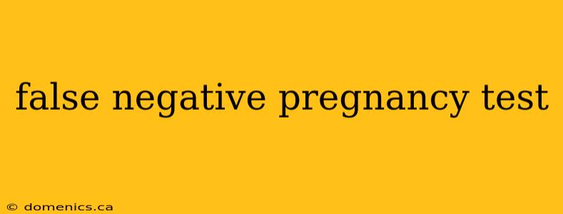 false negative pregnancy test