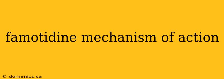 famotidine mechanism of action
