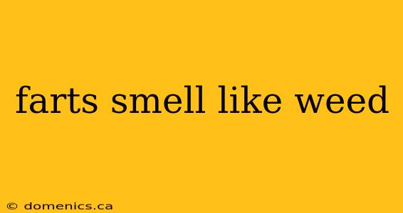 farts smell like weed