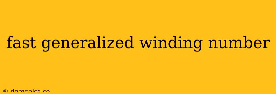 fast generalized winding number