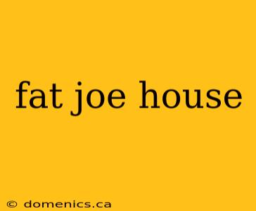 fat joe house