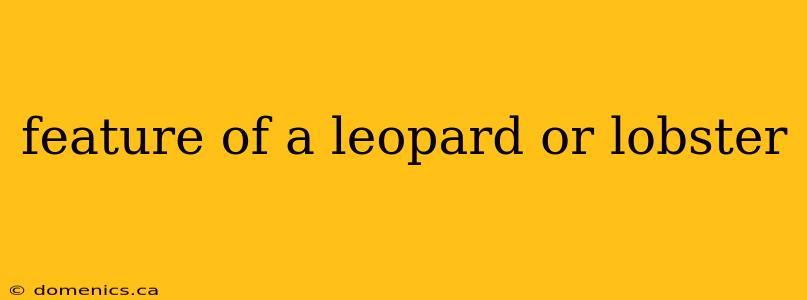 feature of a leopard or lobster