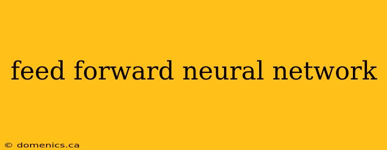 feed forward neural network