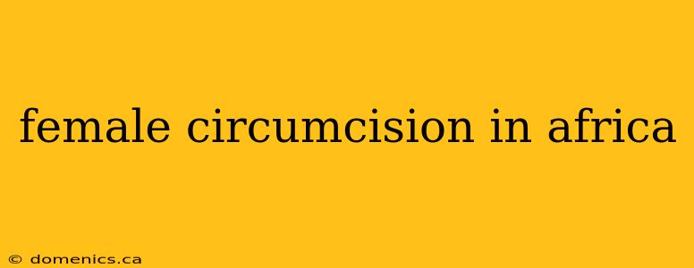 female circumcision in africa