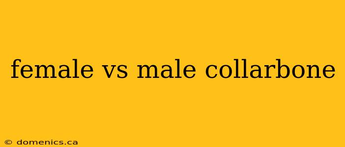 female vs male collarbone