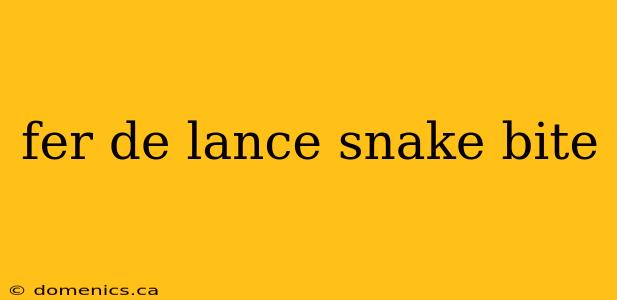 fer de lance snake bite