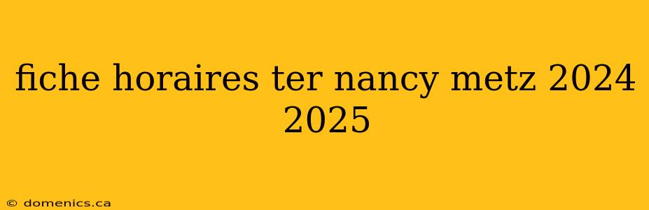 fiche horaires ter nancy metz 2024 2025