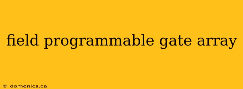 field programmable gate array