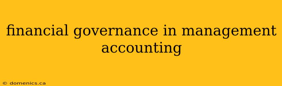 financial governance in management accounting