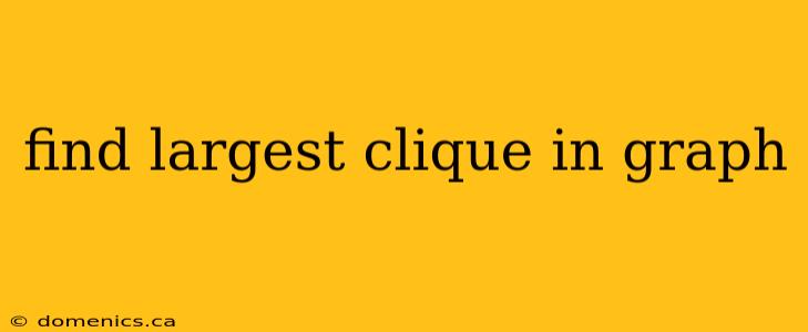 find largest clique in graph