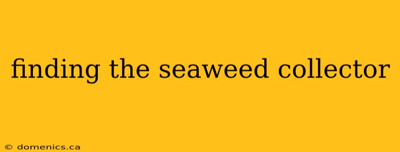 finding the seaweed collector