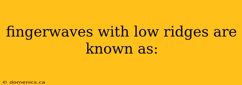 fingerwaves with low ridges are known as: