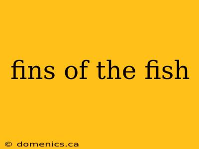 fins of the fish