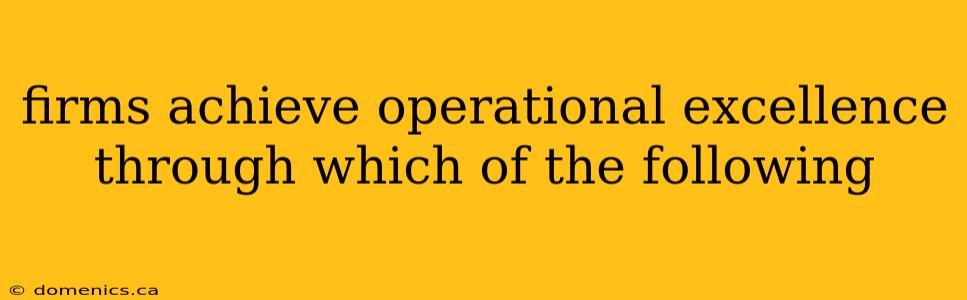 firms achieve operational excellence through which of the following