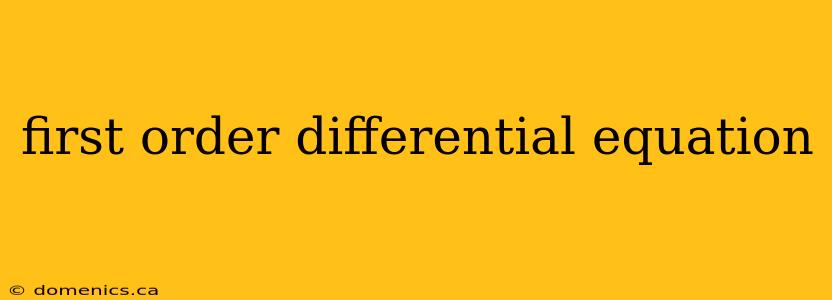 first order differential equation