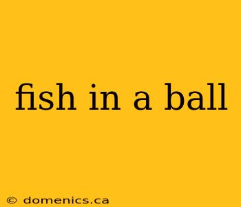 fish in a ball