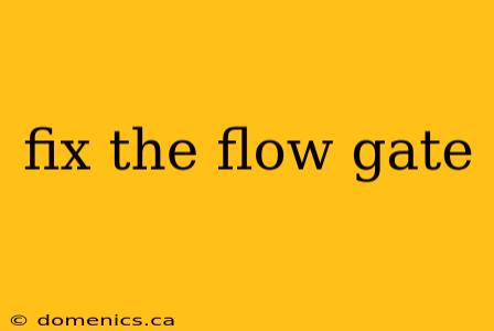 fix the flow gate