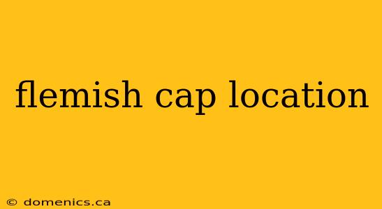 flemish cap location