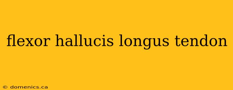 flexor hallucis longus tendon