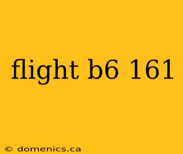 flight b6 161