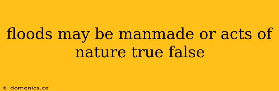 floods may be manmade or acts of nature true false