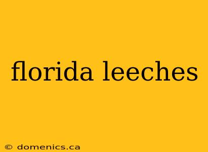 florida leeches