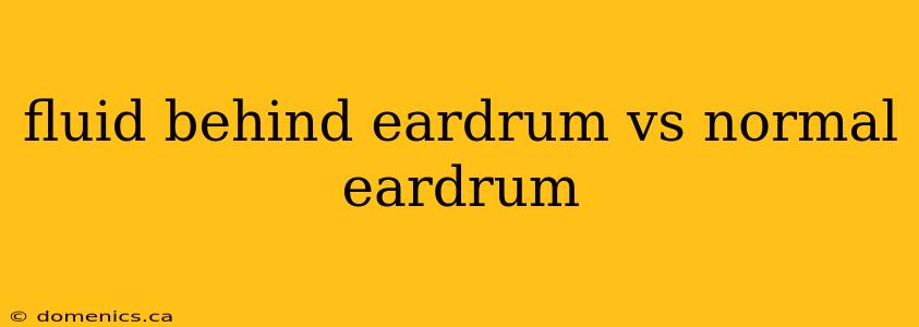 fluid behind eardrum vs normal eardrum