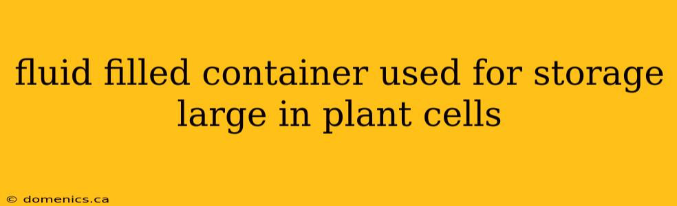 fluid filled container used for storage large in plant cells