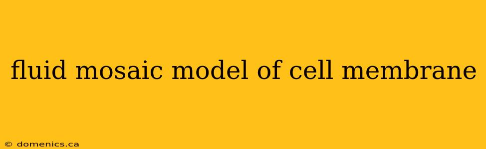 fluid mosaic model of cell membrane