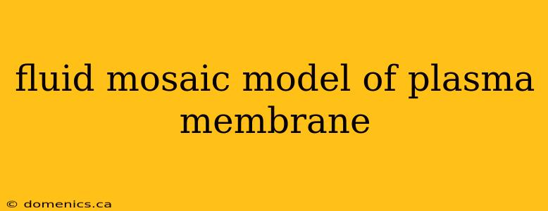 fluid mosaic model of plasma membrane