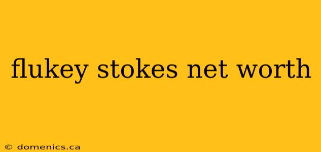 flukey stokes net worth