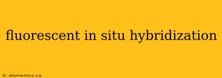 fluorescent in situ hybridization