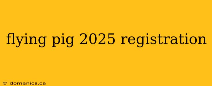 flying pig 2025 registration