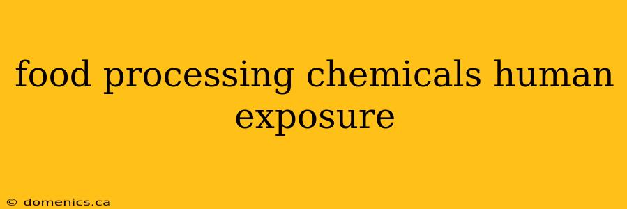 food processing chemicals human exposure