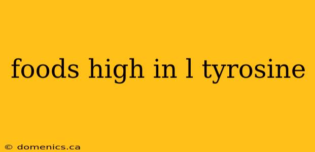 foods high in l tyrosine