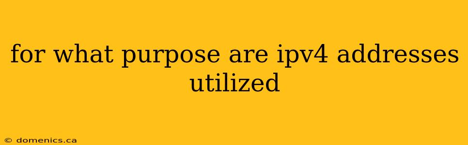 for what purpose are ipv4 addresses utilized