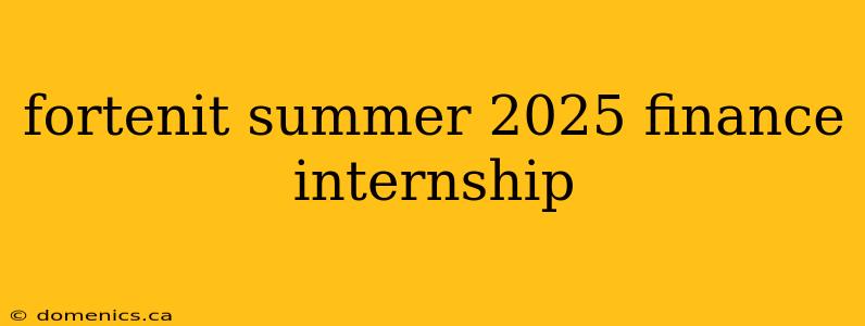 fortenit summer 2025 finance internship