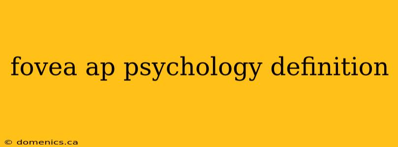 fovea ap psychology definition