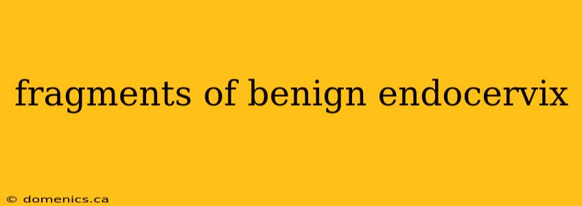 fragments of benign endocervix