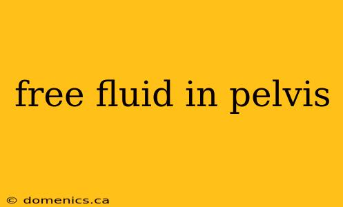 free fluid in pelvis