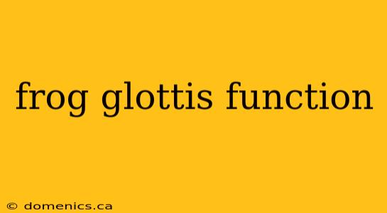 frog glottis function