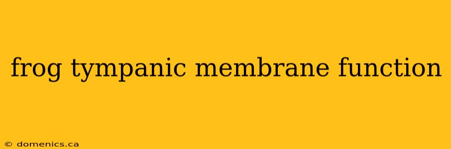 frog tympanic membrane function
