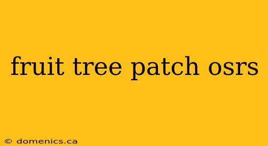 fruit tree patch osrs